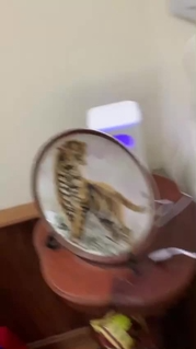 Đèn Bắt Muỗi Thông Minh - Máy Bắt Muỗi Hình Trụ Kiêm Đèn Ngủ An To...