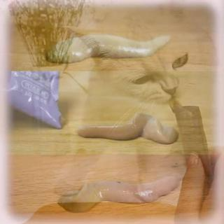 Gói đồ ăn vặt cho mèo cưng Masti LI0283 tiện dụng...