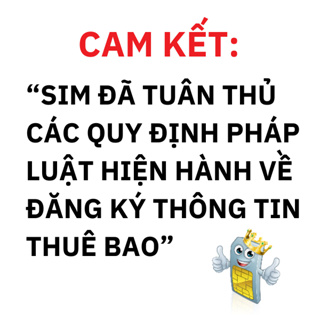 Sim 4G, sim số đẹp Vietnamobile, đăng ký gói 5GB/ngày thả ga vào m...