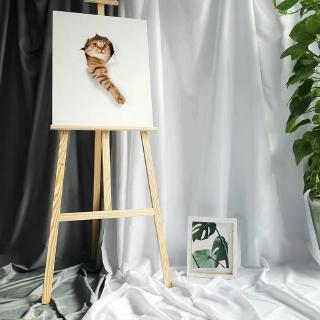 Tấm vải phông nền chụp ảnh màu trắng/đen/xám phong cách Bắc Âu...