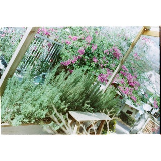 Film điện ảnh indate Kodak Vision 3 500T (hỗ trợ máy PnS)_mã 100...