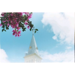 Film điện ảnh indate Kodak Vision 3 500T (hỗ trợ máy PnS)_mã 100...