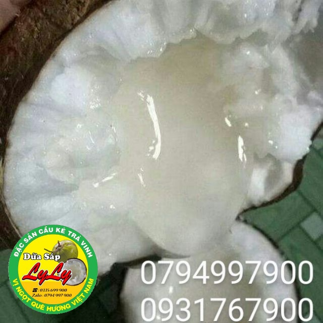DỪA SÁP ĐẶC RUỘT SỈ LẺ CẦU KÈ TRÀ VINH... DỪA SÁP ĐẶC RUỘT SỈ LẺ CẦU KÈ TRÀ VINH...