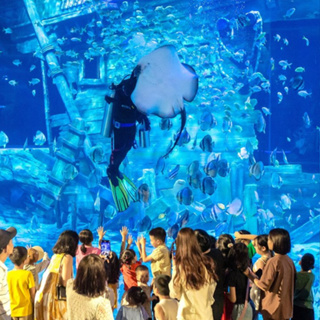 Hà Nội [Code gửi SMS] Vé rẻ vào Thuỷ Cung Lotte Tây Hồ Hà Nội - Áp...