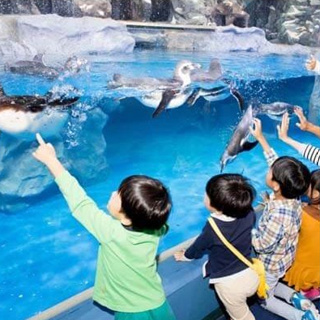 Hà Nội [Code gửi SMS] Vé rẻ vào Thuỷ Cung Lotte Tây Hồ Hà Nội - Áp...