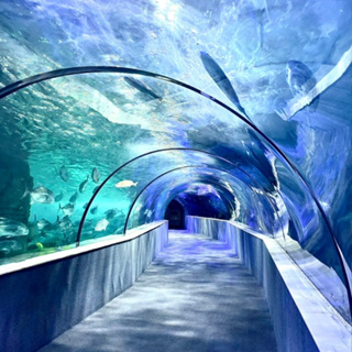 Hà Nội QrCode quẹt mã] Thủy Cung Time City Hà Nội vé QRCode vào cử...