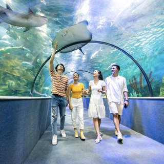 Hà Nội QrCode quẹt mã] Thủy Cung Time City Hà Nội vé QRCode vào cử...