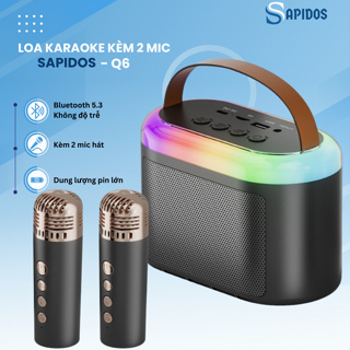 Loa Bluetooth karaoke kèm 2 mic không dây Q6, Loa Karaoke mini có ...