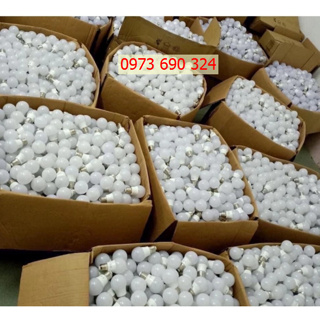 [ TỔNG XẢ KHO ] _ Bóng bulb chống nước 3w, 5w(sẵn hàng) ánh sáng t...