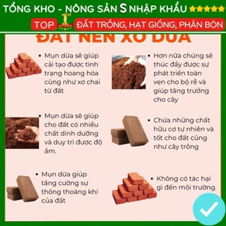 Đất Trồng Cây Viên Đất Nén Xơ Dừa Tiện Ích diệt khuẩn kháng sâu bệ...