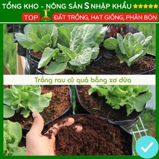 Đất Trồng Cây Viên Đất Nén Xơ Dừa Tiện Ích diệt khuẩn kháng sâu bệ...