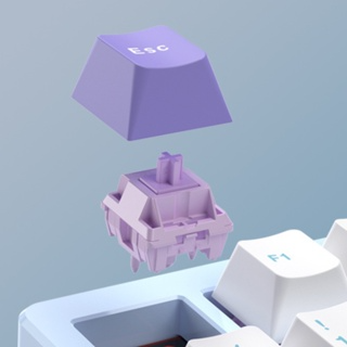 Switch HMX Ziwei - linear, 5 pin - âm poppy siêu ngon, công tắc bà...