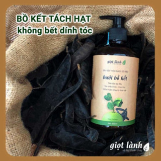 Dầu gội bồ kết - bưởi cô đặc, dầu gội thảo dược kích thích mọc tóc...