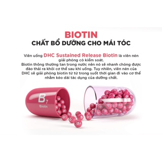 Viên uống DHC Biotin 30 ngày ngăn rụng tóc, hỗ trợ mọc tóc Biotin ...