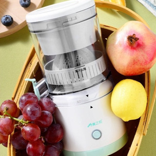 Máy Ép Trái Cây Hoa Quả Đa Năng Tiện Lợi Sạc Usb , Máy Ép Chậm Tự ...