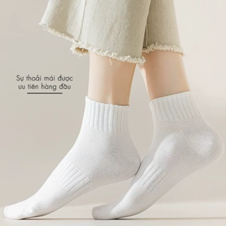 Tất cổ ngắn nữ nam chất vải cotton mềm mịn, vớ nữ basic unisex - C...