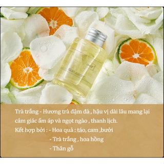 Tinh Dầu Thơm Xe Ô Tô khử mùi hiệu quả, Nước Hoa Ô Tô cao cấp hươn...