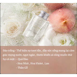 Tinh Dầu Thơm Xe Ô Tô khử mùi hiệu quả, Nước Hoa Ô Tô cao cấp hươn...