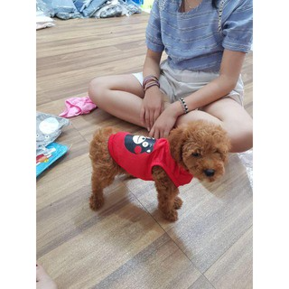 Áo Cho Chó Mèo Thú Cưng Mùa Hè Ba Lỗ Thoáng Mát...