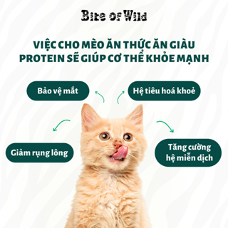 Hạt Cho Mèo Bite Of Wild Gói 1KG Không Độn Ngũ Cốc, Mix Kèm Viên T...