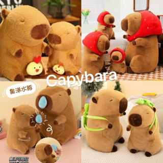 Gấu Bông Chuột Lang Capybara chảy mũi siu đáng yêu, Chuột Lang nướ...