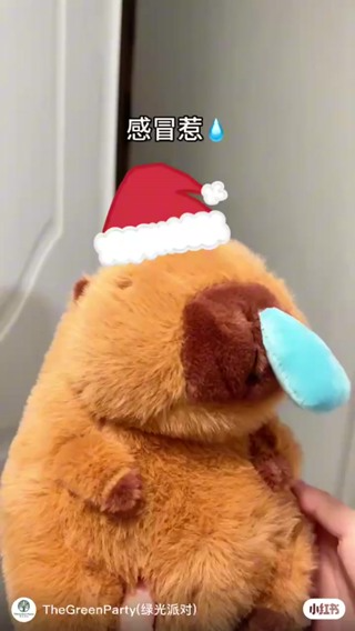 Gấu Bông Chuột Lang Capybara chảy mũi siu đáng yêu, Chuột Lang nướ...