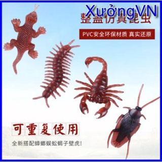 Côn Trùng Giả - Gián, Tiểu Cường, Rết, Bọ Cạp, Thạch Sùng Bằng Nhự...