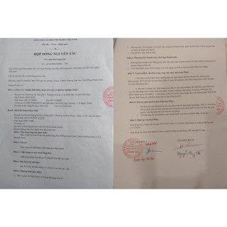 Cây thông thơm Little trees (HÀNG MỸ CHÍNH HÃNG)...