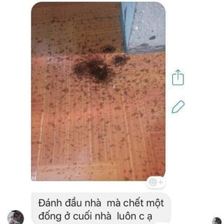 Thuôc Diệt Kiến Gián Sinh Học Việt Nam...