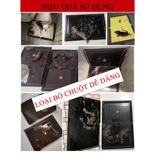 Keo Dính Chuột Siêu Dính, Keo Bẫy Chuột, Bắt Chuột Diệt Các Loại C...