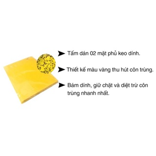 Miếng dán bẫy diệt côn trùng ruồi muỗi hai mặt siêu thu hút siêu d...