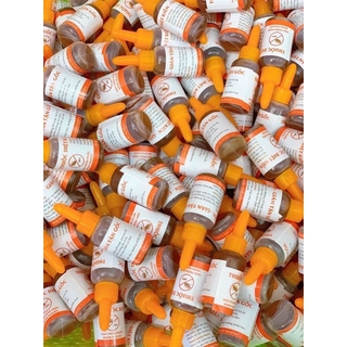 Dụng Dịch Diệt Gián Kiến Sinh Học Hiệu Quả...