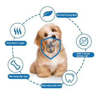 Xương Gặm Orgo Sạch Răng, Thơm Miệng, Bổ Sung Canxi Cho Chó...