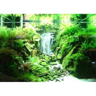 Cát Trắng Mịn 500Gr Trang Trí Bể Cá Cảnh - Bể Thủy Sinh...