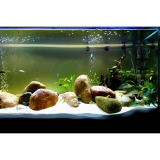 Cát Trắng Mịn 500Gr Trang Trí Bể Cá Cảnh - Bể Thủy Sinh...