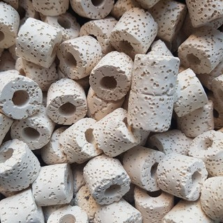 5 viên Sứ nhẫn trắng loại tốt (sứ lỗ) lọc vi sinh hồ cá...