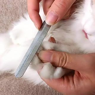 Kềm cắt móng cho thú cưng, Kềm Cắt Móng không gỉ kèm dụng cụ dũa m...