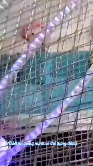 Vợt Bắt Muỗi LIGHTBULB Điện Quang Thông Minh, Tự Động 2in1 Ánh Sán...