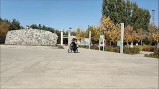 Xe Đạp Thể Thao Dung Bike Official - Xe Đạp Dành Cho Bé Trai Có Yê...