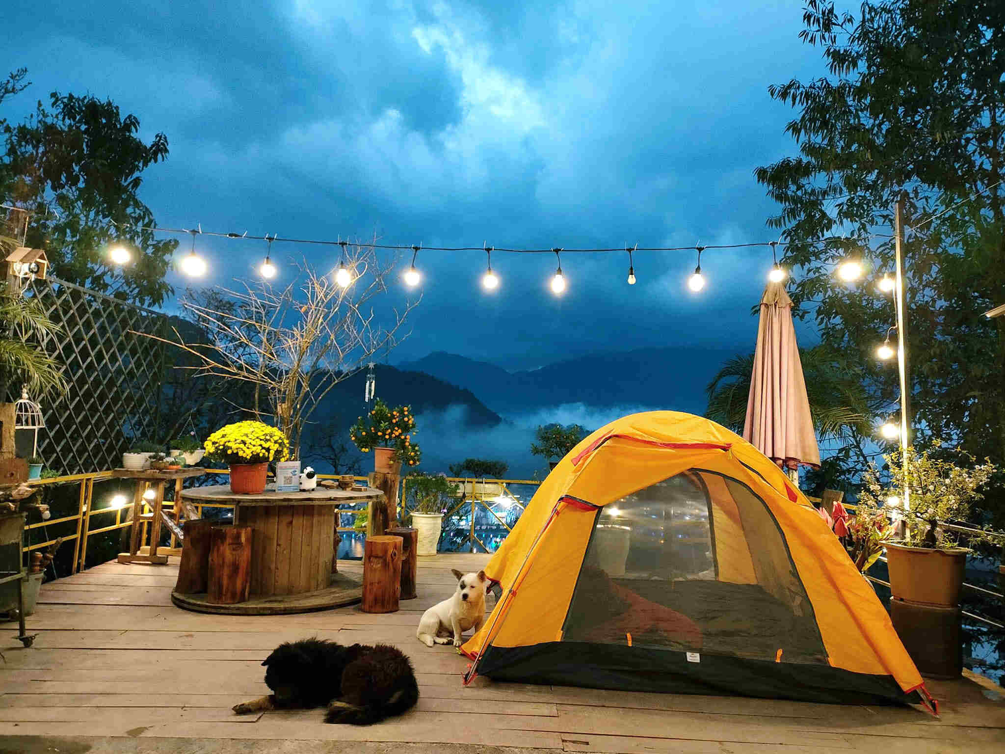 TOP 10 Khu Cắm Trại Và Nướng BBQ Tạ...