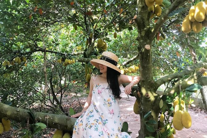 Vườn Trái Cây Bến Tre  Top 10 Địa Đ...