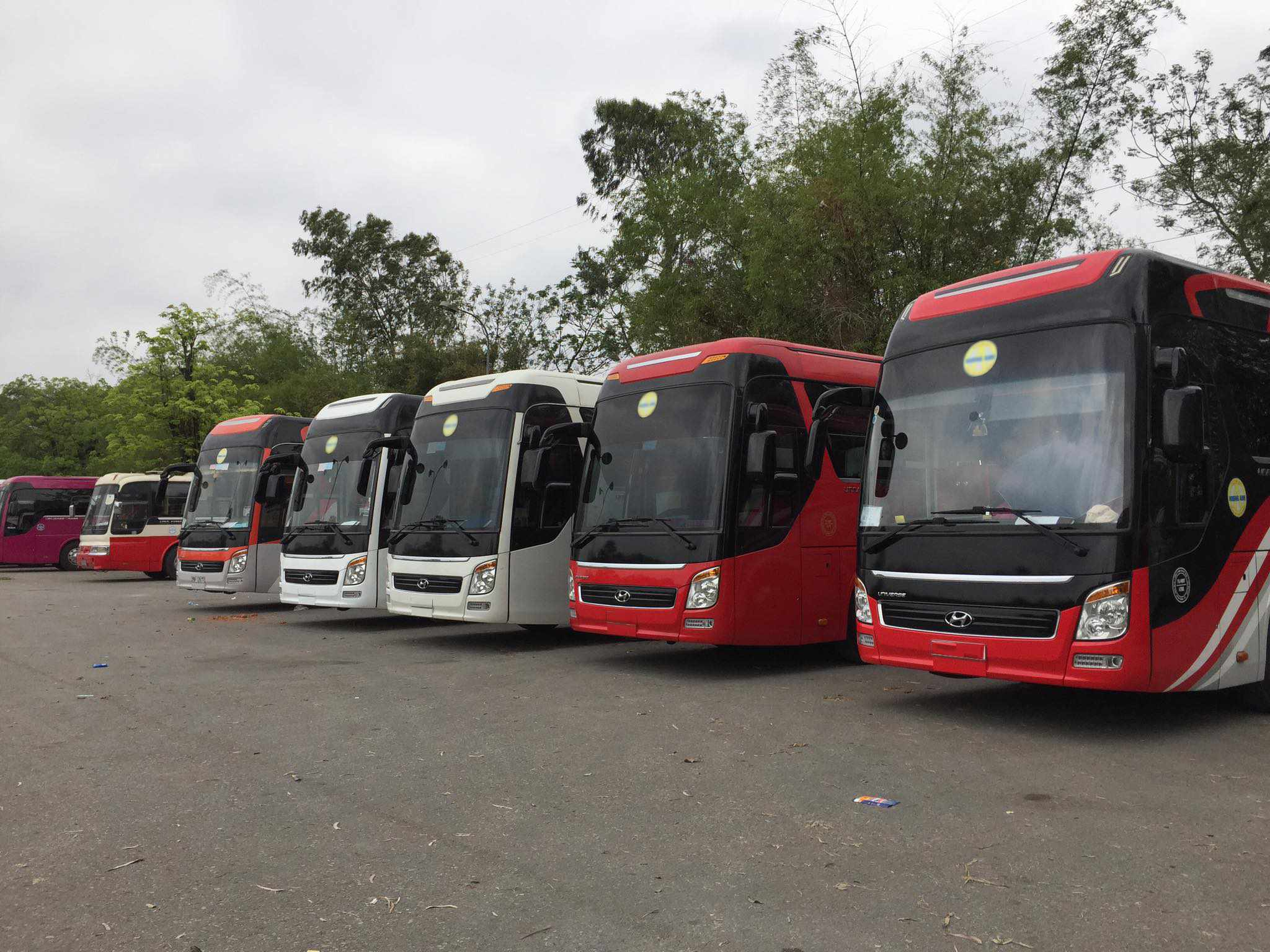 Top 5 Đơn Vị Cho Thuê Xe 45 Chỗ Quảng Bình Giá Tốt