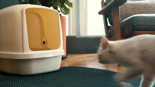 120cm70cmThảm hứng cát mèo Kích thước lớn thảm thảm cát cho mèo Th...