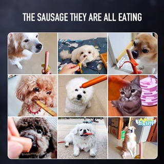 bốn hương vị Xúc Xích Siêu Rẻ Cho Chó Mèo Pet LI0186...