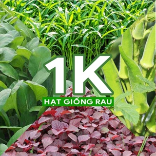 Hạt giống 1K Rau Muống, Rau Dền, Đậu Bắp, Cải Ngọt, Mồng Tơi, Cải ...