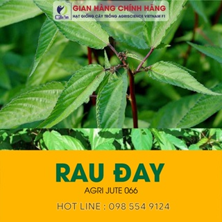 Hạt giống 1K Rau Muống, Rau Dền, Đậu Bắp, Cải Ngọt, Mồng Tơi, Cải ...
