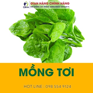 Hạt giống 1K Rau Muống, Rau Dền, Đậu Bắp, Cải Ngọt, Mồng Tơi, Cải ...