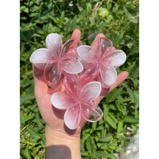 kẹp hoa sứ thạch hồng hotrend 8cm mẫu mới...
