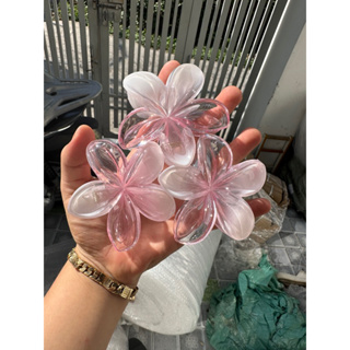 kẹp hoa sứ thạch hồng hotrend 8cm mẫu mới...