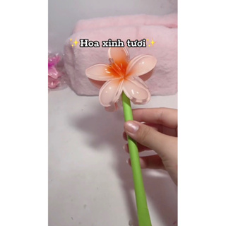 [UPDATE] Kẹp tóc hoa sứ nhiều màu sắc, kẹp tóc đi biển, quà tặng 8...